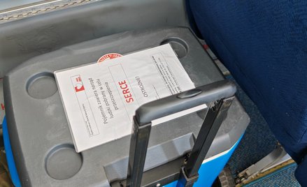 Narządy transportuje się w jałowych workach w specjalnej lodówce.