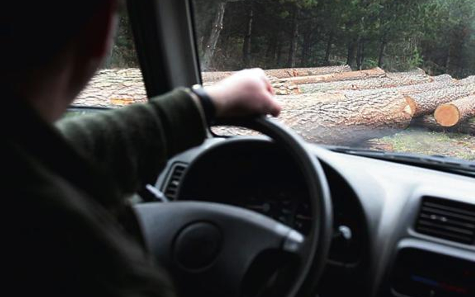 Lasy Państwowe tłumaczą, że odsprzedają auta tylko do nadleśnictw