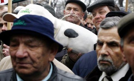 PSL za wyższą składką