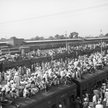 Uchodźcy z Indii tłoczą się w pociągach w wyniku powstania dwóch niezależnych państw, Indii i Pakist