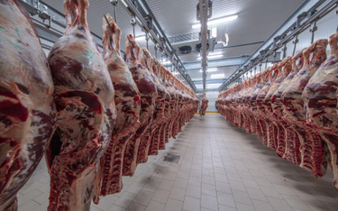 Zakaz uboju rytualnego to faul na eksporcie mięsa