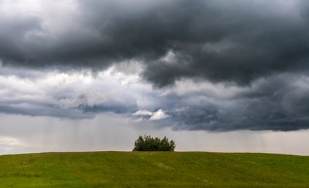 Dziś w części kraju wystąpią burze z silnym wiatrem