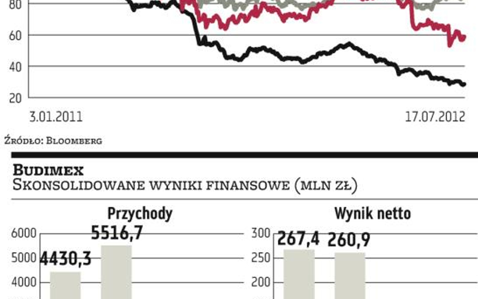 Restrukturyzacja PNI pogorszyła wyniki Budimeksu