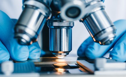 Pharmena przejęła od spółki zależnej rozwój projektu TRIA-662