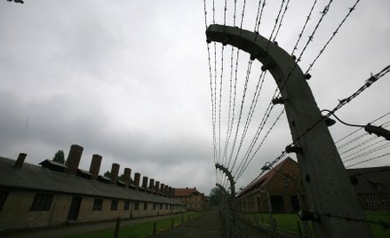 Niemcy: 662 mln dolarów dla ocalałych na walkę z pandemią