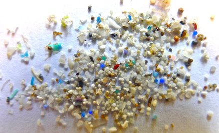 Mikroplastik w wodzie pitnej nie stanowi na razie zagrożenia