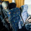 Stankiewicz: Pani premier nie chce imigrantów