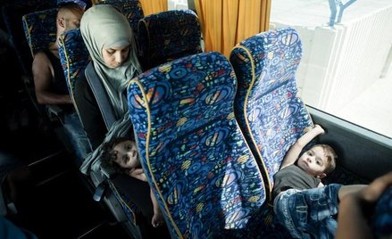 Stankiewicz: Pani premier nie chce imigrantów