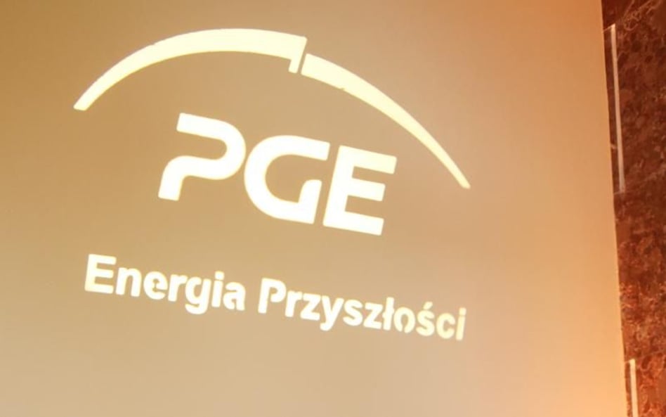 PGE chciałaby, aby to Skarb Państwa objął nowe akcje spółki