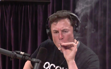 Elon Musk palił marihuanę na wizji