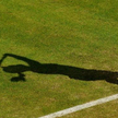 Wimbledońskie rozstawienie: Radwańska – nr 4, Janowicz – nr 15