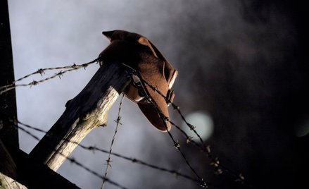 Czy odpowiedzą za zbrodnie na granicy