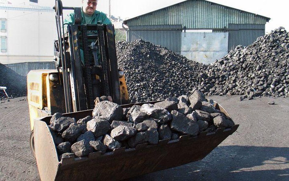 Skład węgla kamiennego