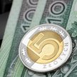 Złoty słabszy. Analitycy: Nie ma się czym martwić