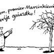 Komentarz rysunkowy