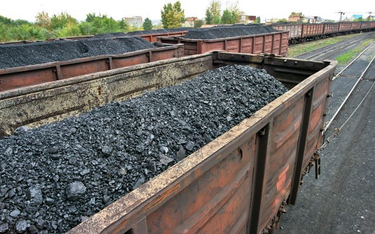 W tym roku musimy sprowadzić przez porty 12–14 mln ton węgla, który do tej pory trafiał do nas z Ros