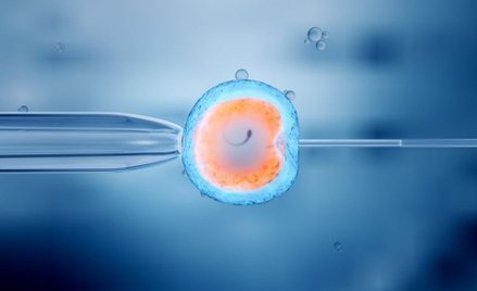 In vitro refundowane w Wielkopolsce