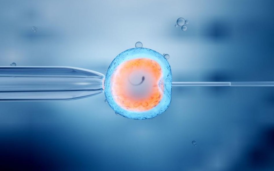 In vitro refundowane w Wielkopolsce