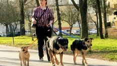 Dotknijcie powierzchni chodnika czy asfaltu grzbietem dłoni, żeby się przekonać, co czuje pies – mów