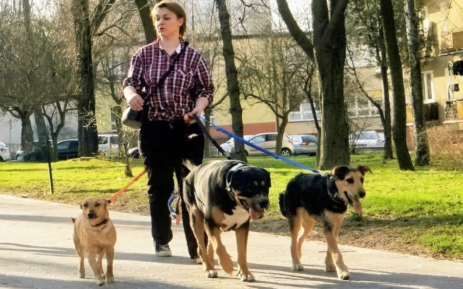 Dotknijcie powierzchni chodnika czy asfaltu grzbietem dłoni, żeby się przekonać, co czuje pies – mów