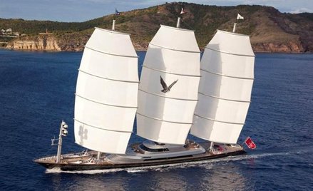 "Sokół maltański"