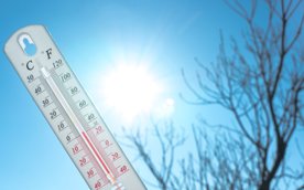 Prawdziwy przełom nastąpi w niedzielę, kiedy do Warszawy dotrze zdecydowanie cieplejsze powietrze.