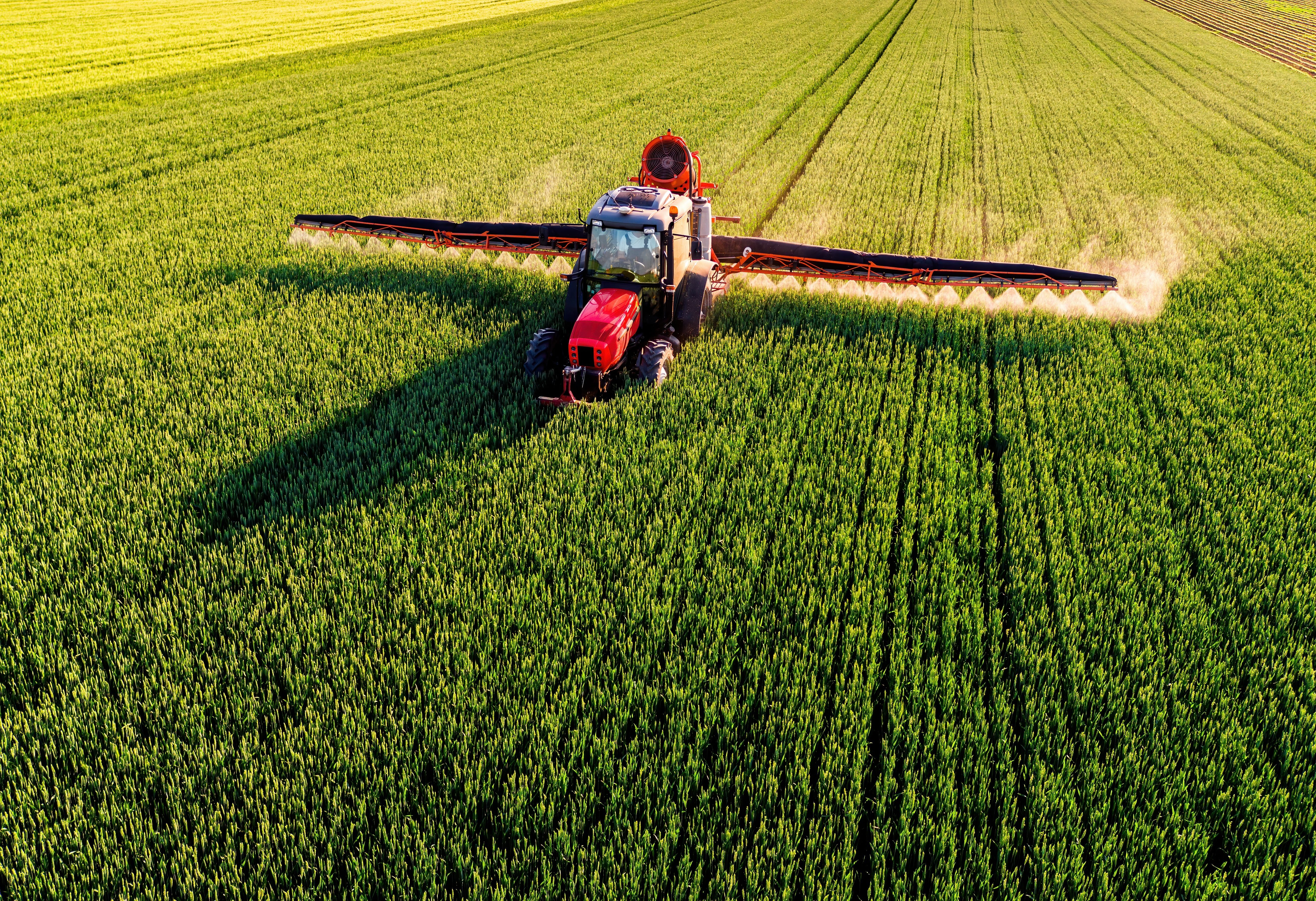 Przyszłość polskiego rolnictwa: rolnik czy farmer