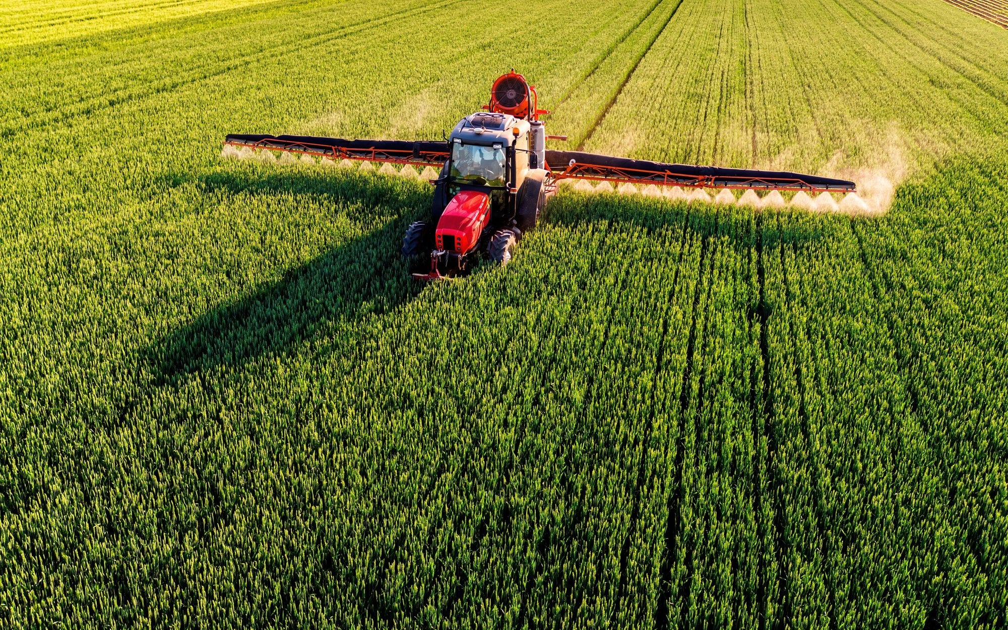 Przyszłość polskiego rolnictwa: rolnik czy farmer