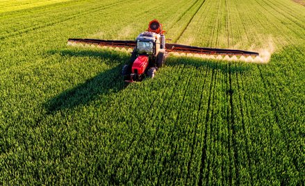 Na przyszłość rolnictwa wpływa relacja między produkcją roślinną i zwierzęcą. Duża część krajowej pr