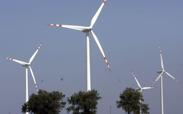 Powstanie siedem dużych farm wiatrowych