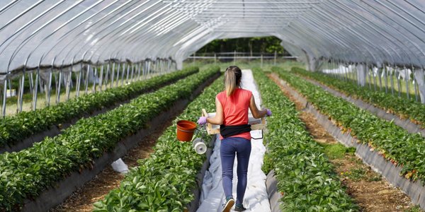 Wakacyjne saksy już mniej atrakcyjne dla Polaków