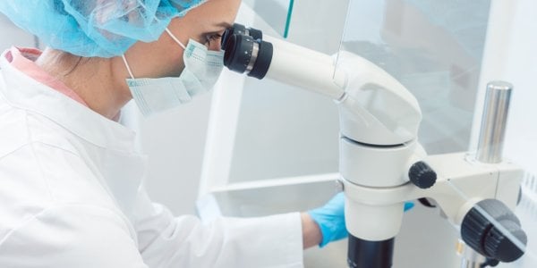 Przełomowe odkrycie w leczeniu bezpłodności. „Osiągnęliśmy coś, co wydawało się niemożliwe"