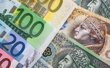 Zamiana waluty na euro nie powoduje wzrostu inflacji