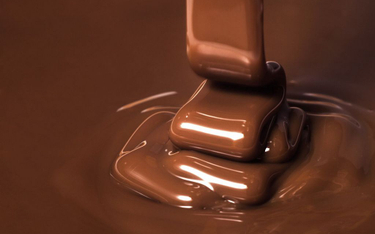 Niemcy: Skradziono 20 ton wyrobów czekoladowych