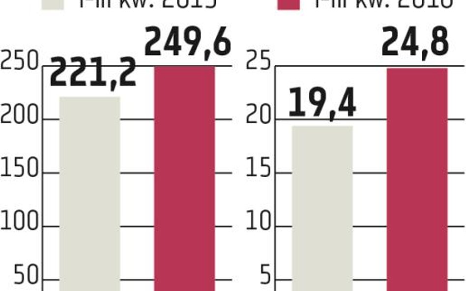 Ferro: W grę wchodzi rozwój organiczny i przejęcia