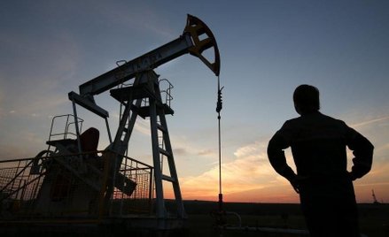 OPEC wzywa USA do cięć produkcji