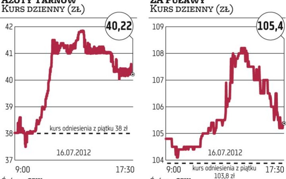 Azoty Tarnów, Puławy: Jakubas skupuje papiery obu firm