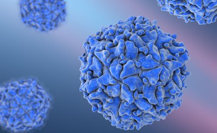 Cząsteczka poliowirusa