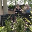 Nękali sąsiadkę, nękają sąsiada. SN uchylił wyroki skazujące rodzinę ze Żdżar