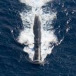 Zakup okrętów podwodnych. By nie urazić Japonii, Australia blokowała ujawnienie dokumentów