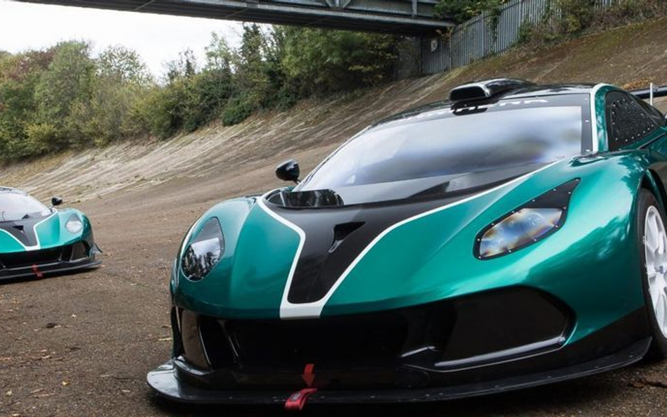 Arrinera Hussarya