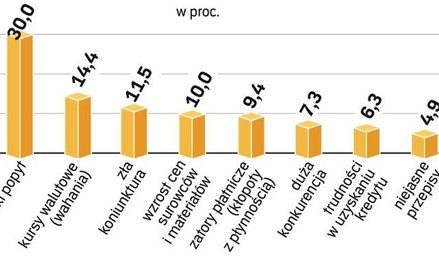Najgorsze są problemy wynikające z kryzysu. Ale rozbudowany system pozwoleń, kontroli i sprawozdań t