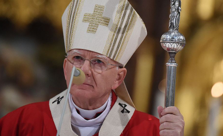 Abp Jędraszewski: Zaczyna się ogłaszać, że przyszłość Ziemi powinna należeć do zwierząt i do roślin 