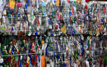 Zdaniem autorów raportu branża producentów opakowań plastikowych była świadoma, że recykling nie roz