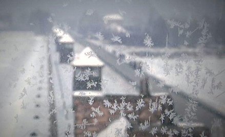 Zimą ekipa kręciła zdjęcia w Auschwitz przy -20 stopniach