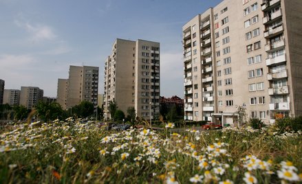 Wielka płyta znów ma wzięcie