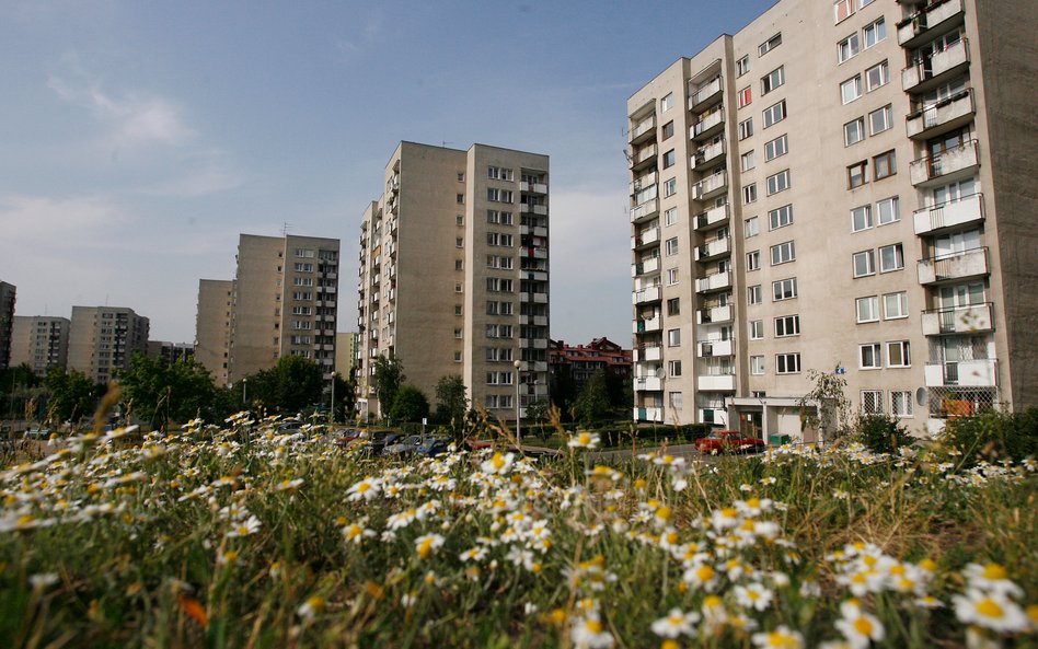 Wielka płyta znów ma wzięcie