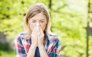 Zlikwidowano efekty alergiczne pyłku brzozy i jadu owada
