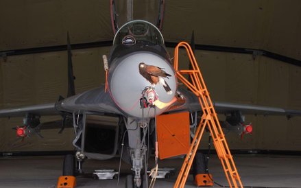 Jastrząb siedzący na polskim Migu - 29 M w czasie misji na Litwie