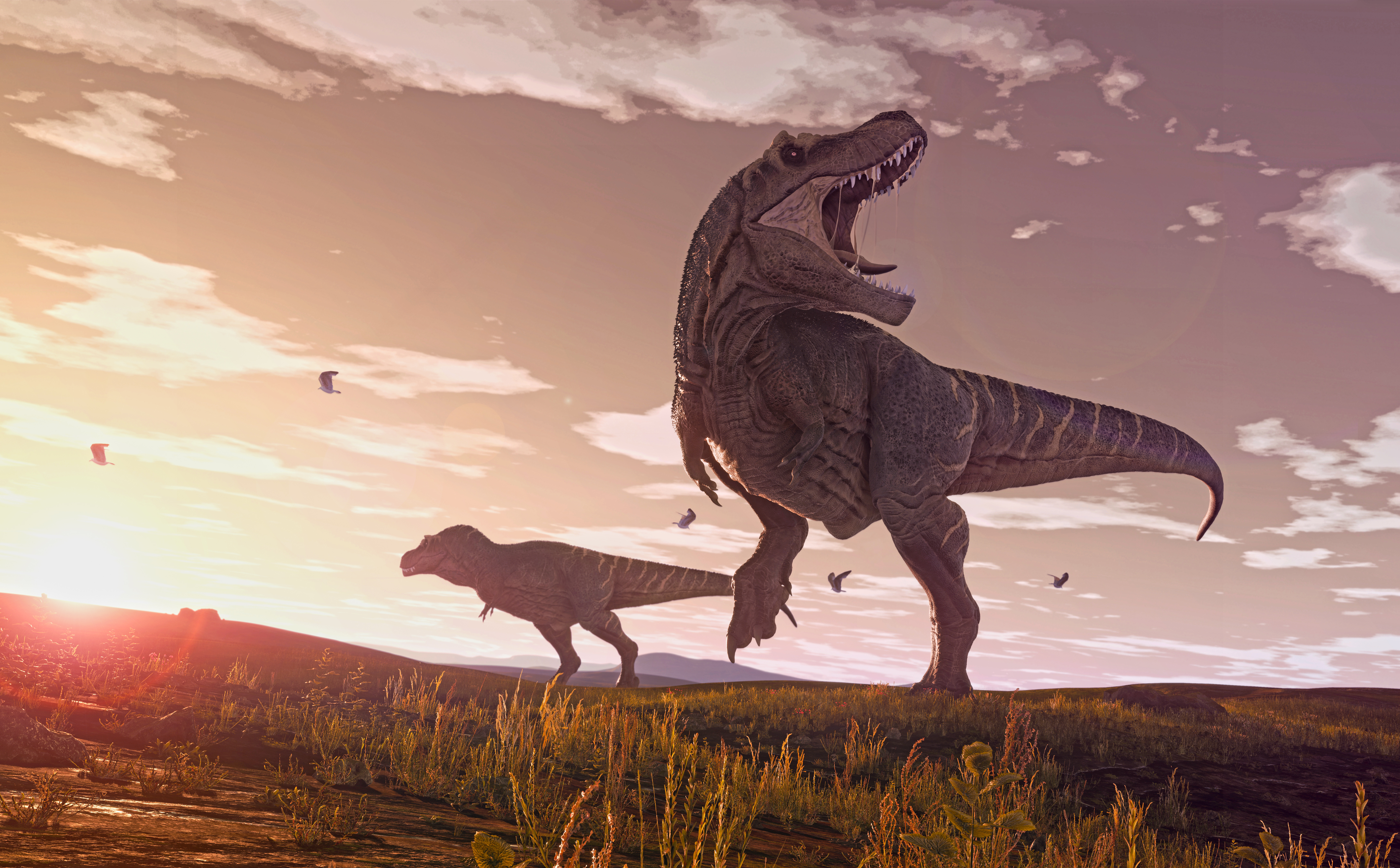 Zagadka tyranozaurów rozwiązana? Nowe badanie rzuca światło na ewolucję króla dinozaurów
